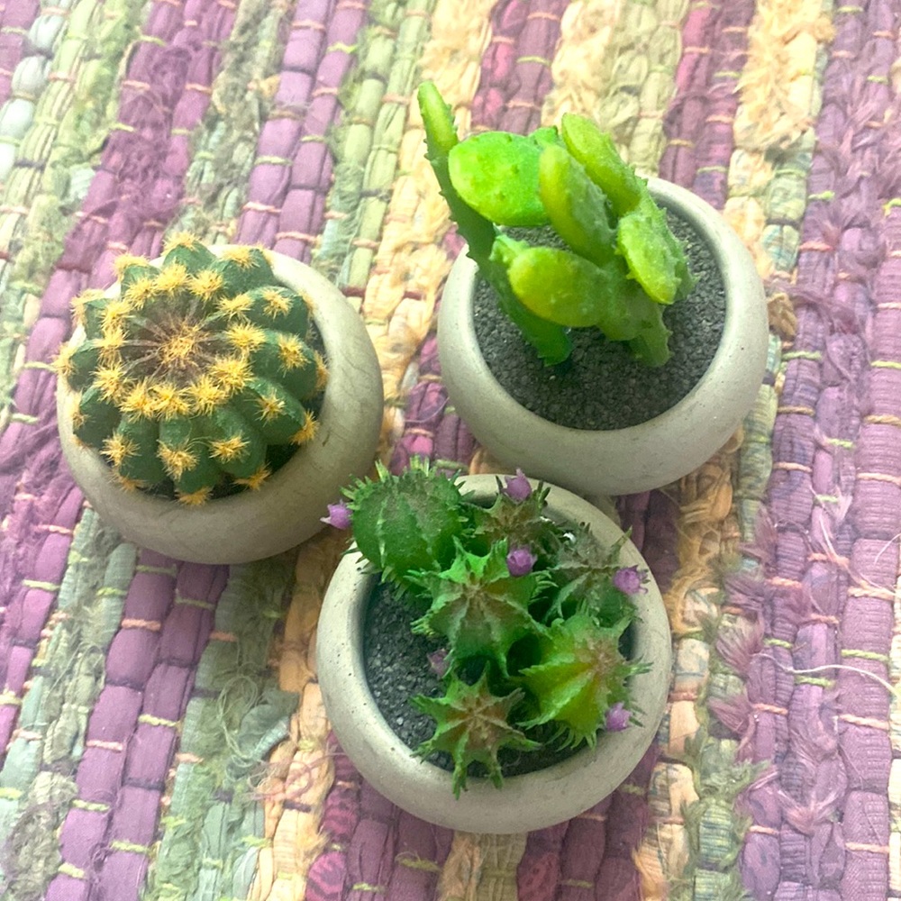 Three Deco 🪴 Plants